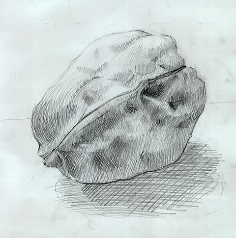 Nuss. Alexander Babel, Bleistift, 10.2009, 62x43 cm. Hochschule in Frankfurt am Main.