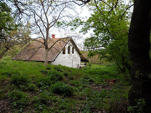 Haus Napfényszentély von Istvan Sky im Jahr 2026, Blick aus dem Wald. Szentbékkállá.