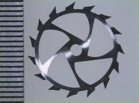 Хронометровое колесо, сфотографированное стереомикроскопом Olympus SZ 61.