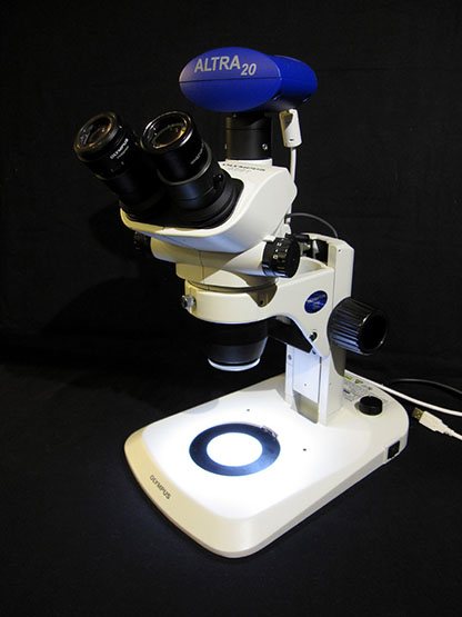 Stereomicroscope Olympus SZ 61 TR, overall view