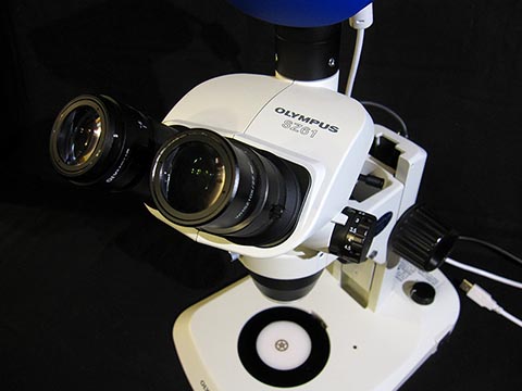 Стереомикроскоп Olympus SZ 61 TR с 10-кратными окулярами. 2005 год.